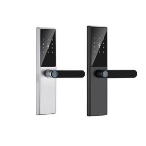 WF-TT1 Lock Bluetooth Smart Fingerprint Door Lock